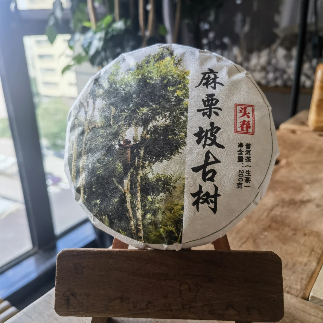 2021年麻栗坡 高杆古树纯料 普洱生茶 200克/饼