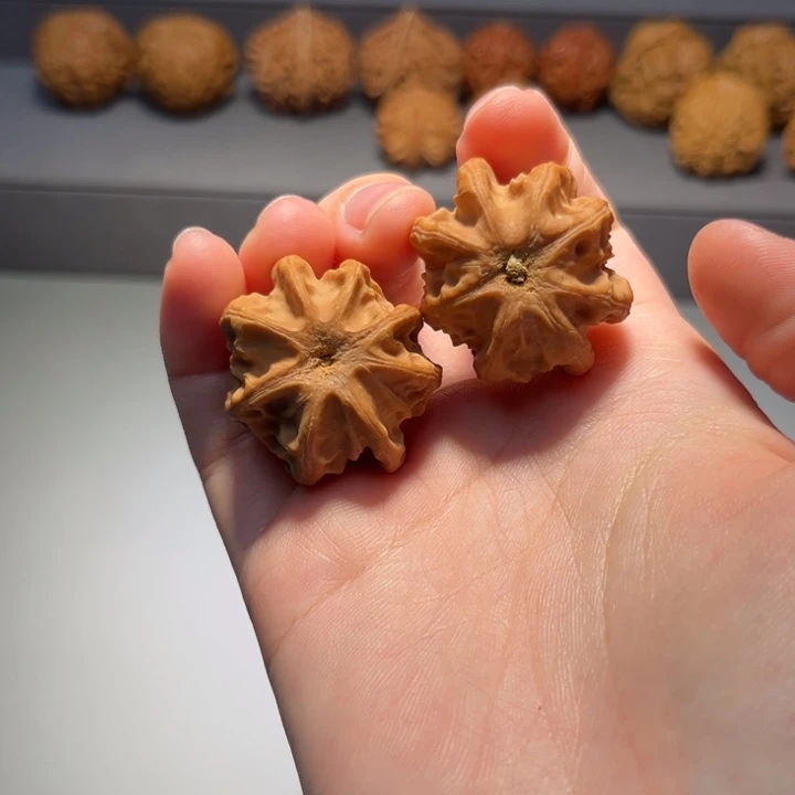 把件文玩核桃龙骨878