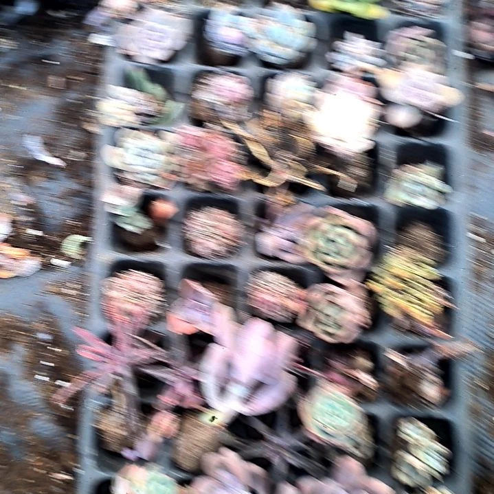 汤**水满6元包邮，垃圾货7号无售后