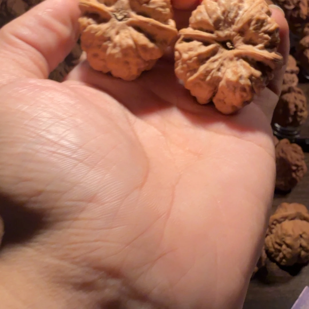 白***色文玩核桃吊坠蛤蟆的眼睛是真的好看啊我