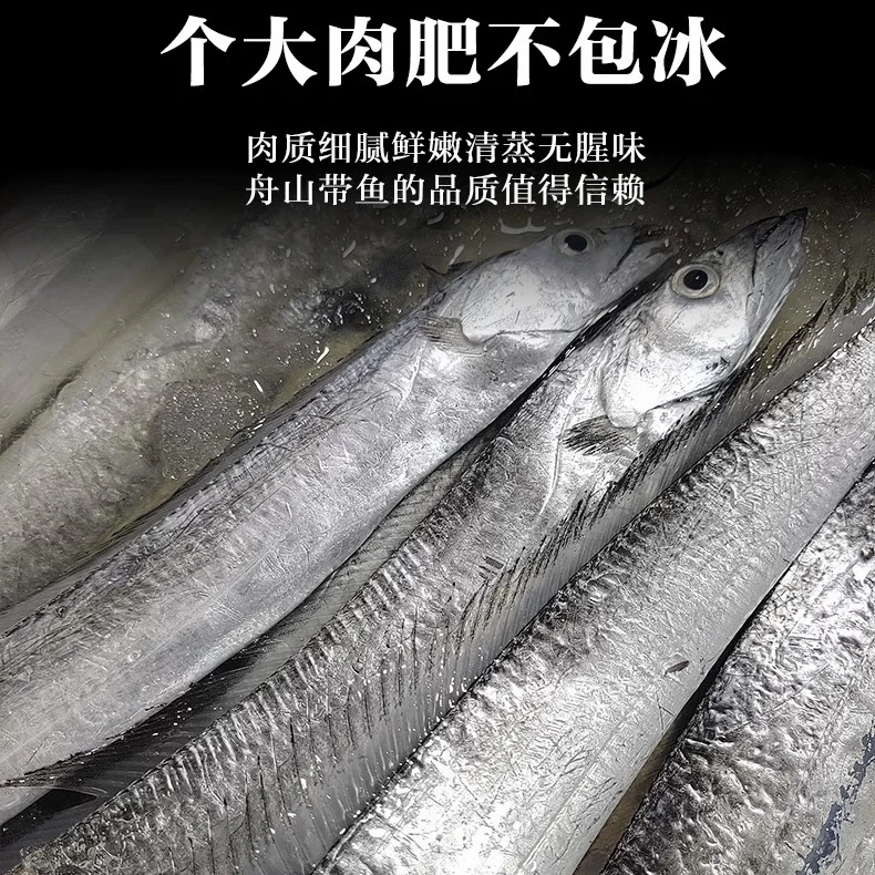 新鲜带鱼整条舟山网海捕带鱼新鲜顺丰整条发货6-8两/条