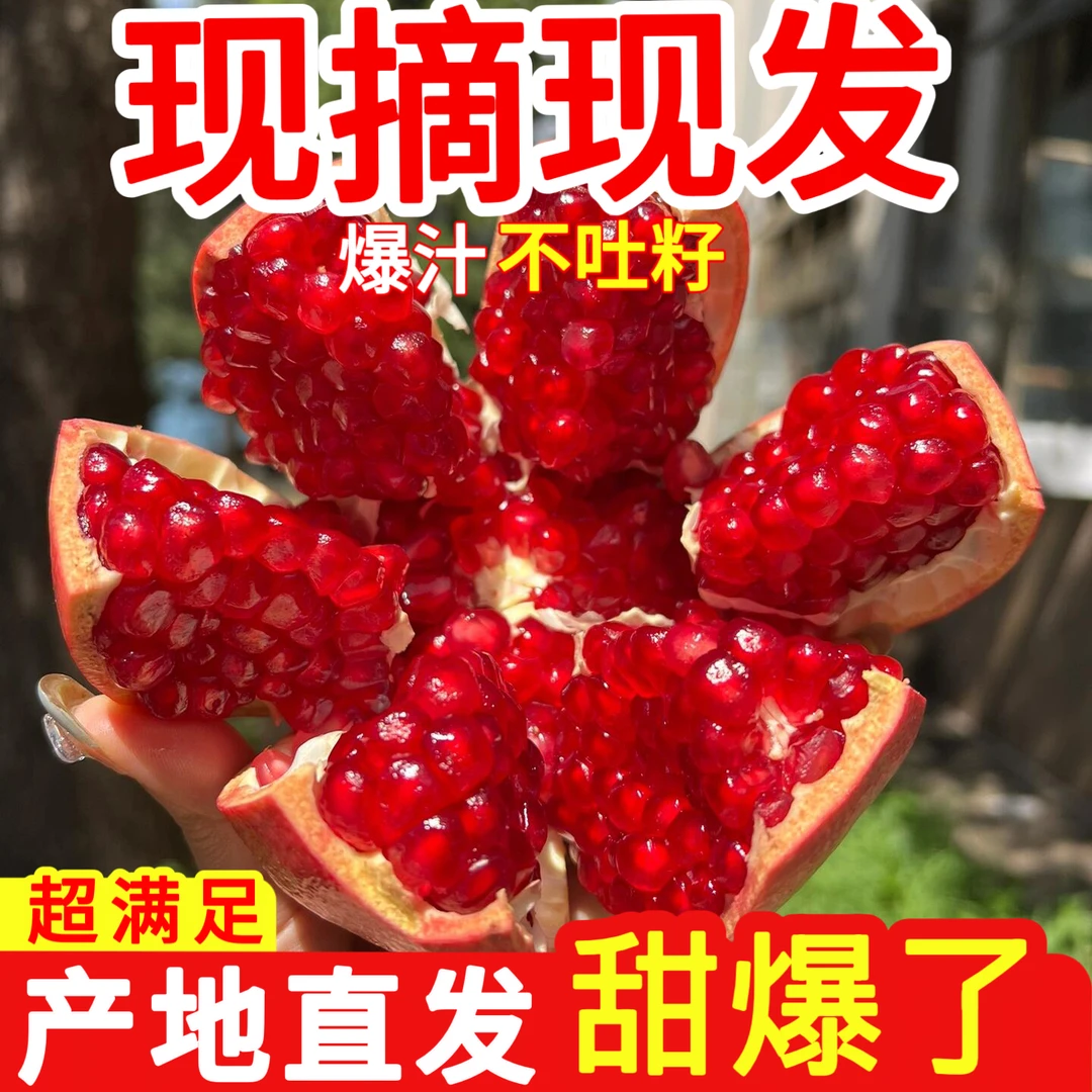 臻选正宗四川会理突尼斯软籽石榴纯甜爆汁现摘现发应季水果