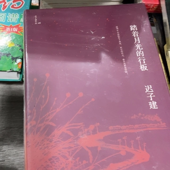 踏着月亮的行板十三米