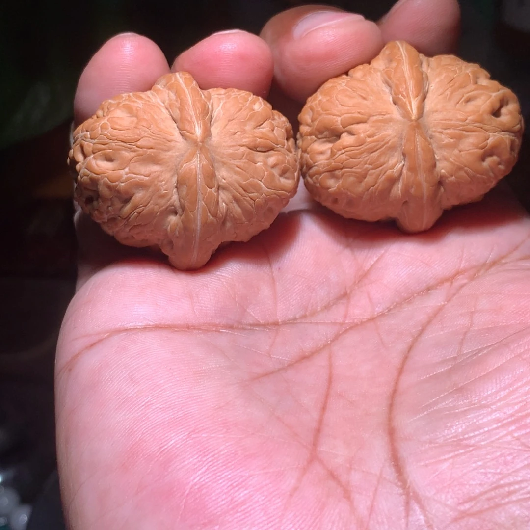 正***X把件文玩核桃平谷元宝   42尺