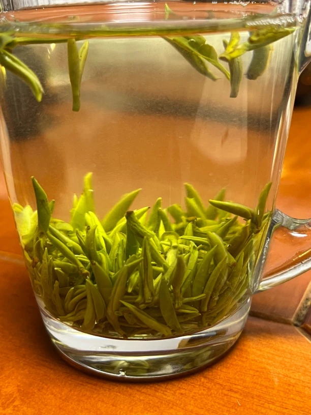 2025年紫阳茶 毛尖叶 紫阳翠芽 新茶陕西正宗紫阳毛尖特级第一名