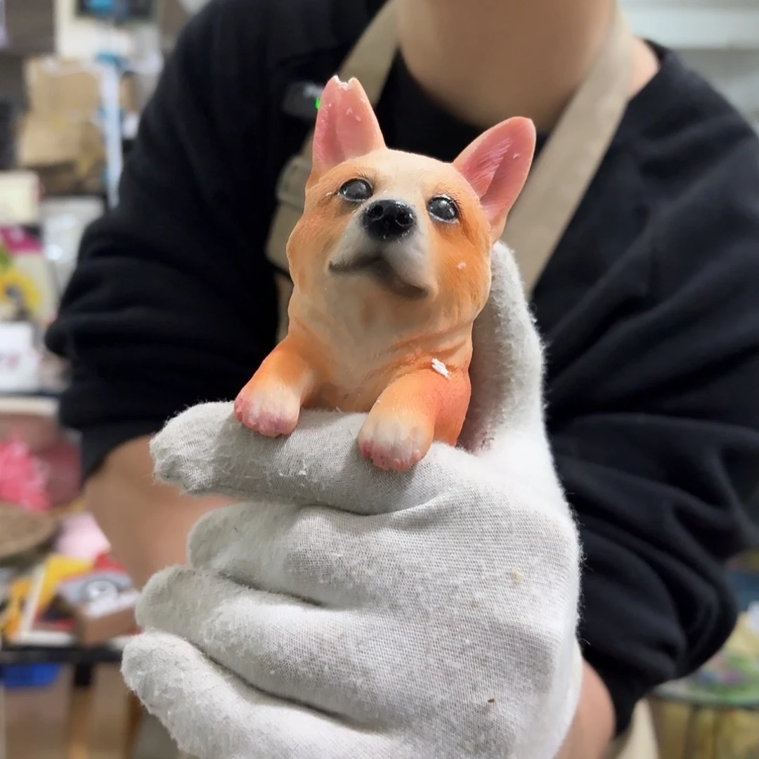 核桃木/黑胡桃（胡桃木）