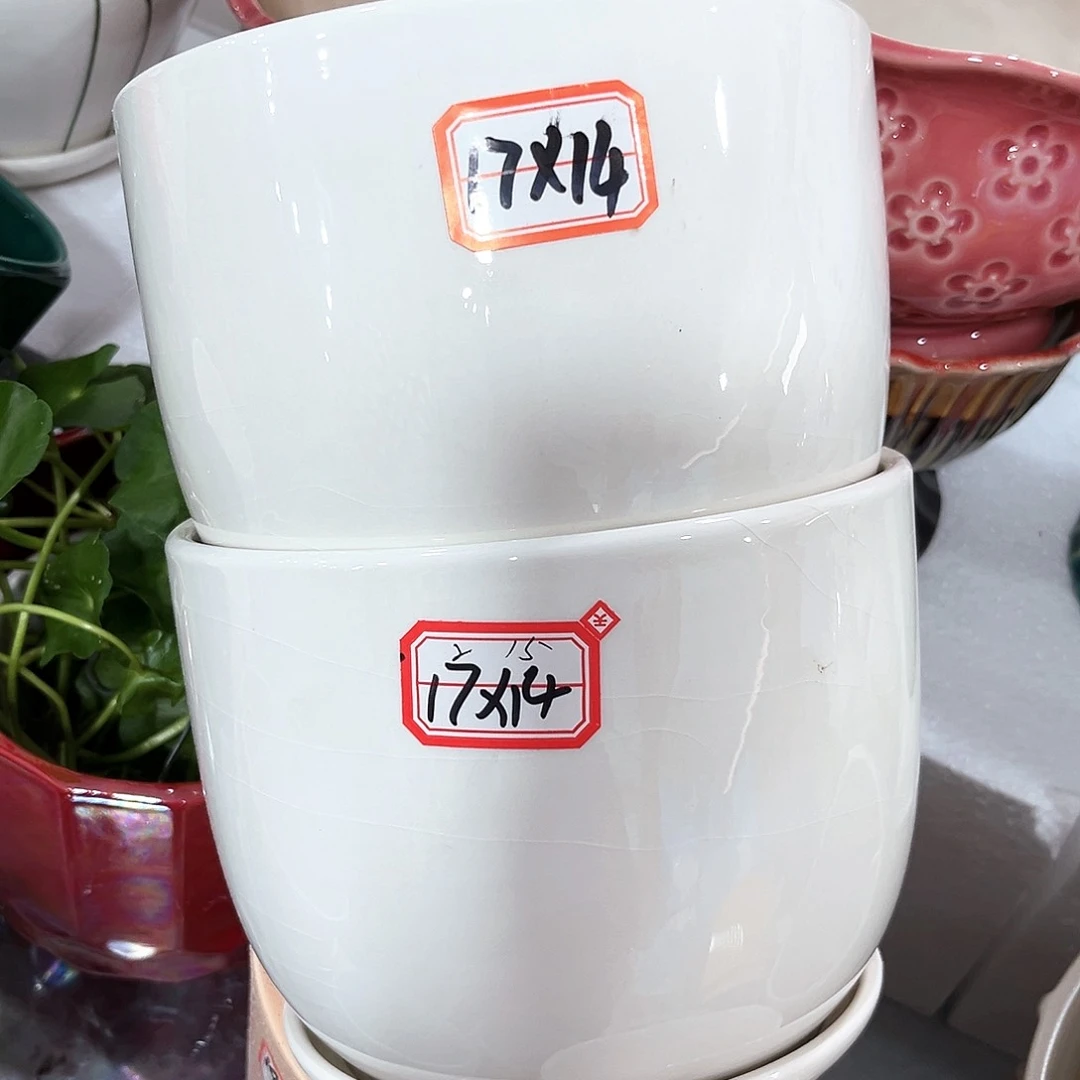 花盆花盆花盆花盆花盆花盆花盆