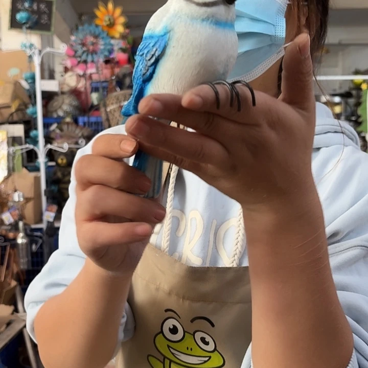 核桃木/黑胡桃（胡桃木）