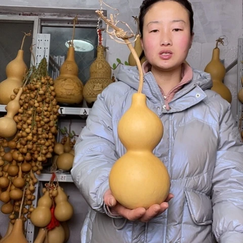 天然植物葫芦文玩