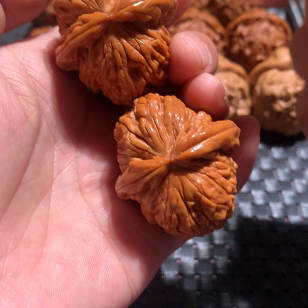 文玩核桃把件白狮子