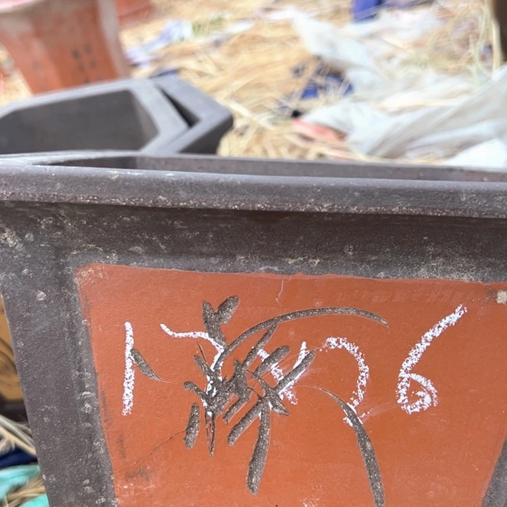 红陶紫砂四方微瑕