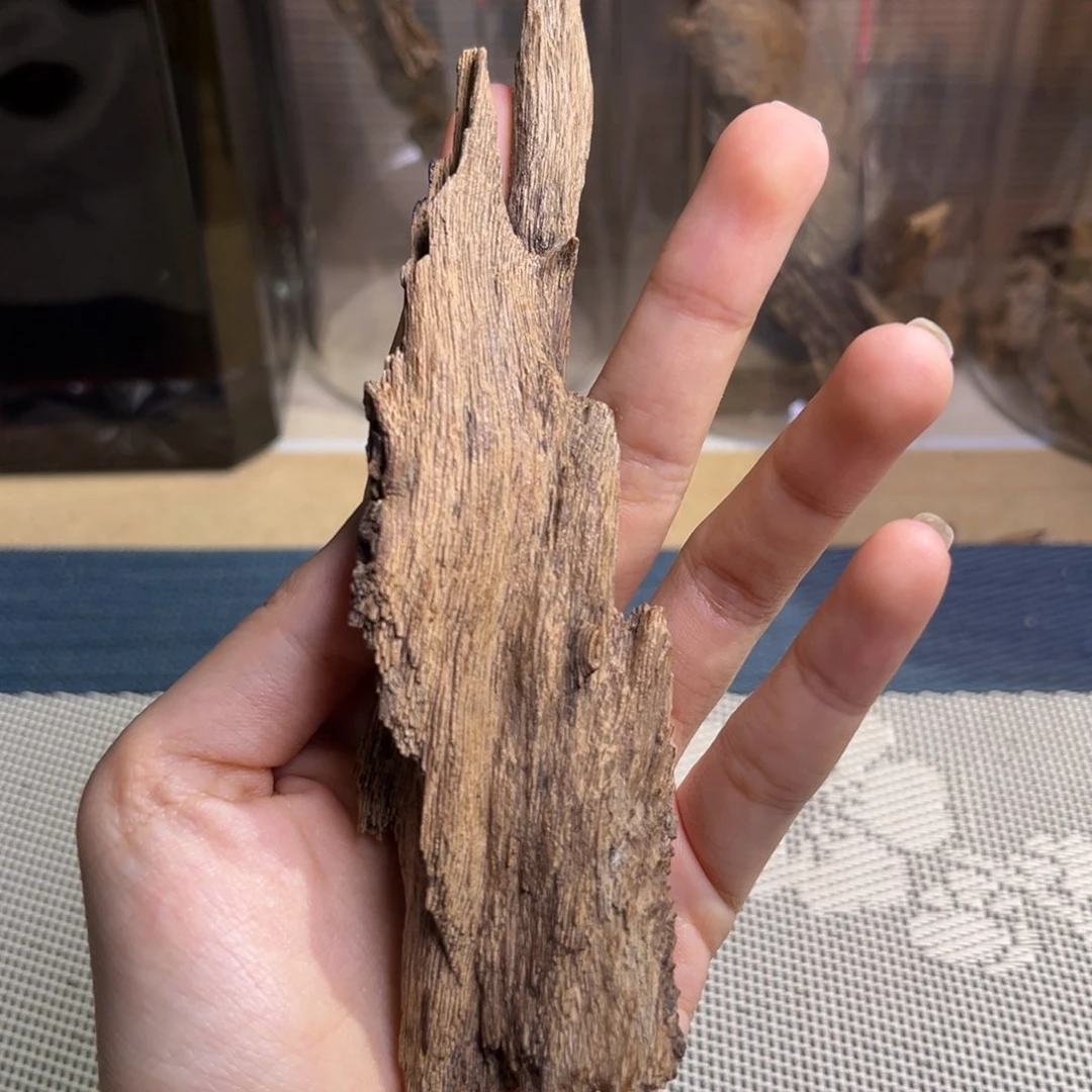 沉香海南大山红土树心虫漏11.4克