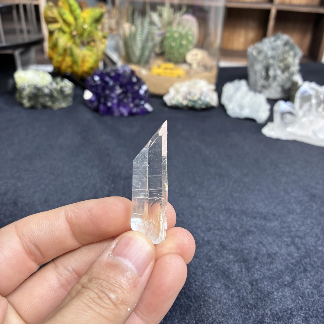 超绝高透利姆捡漏