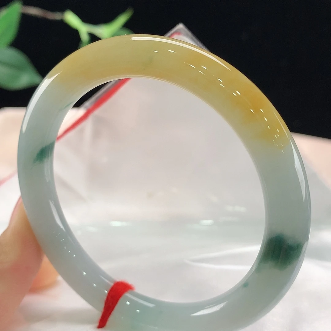 未镶嵌手镯翡翠0100