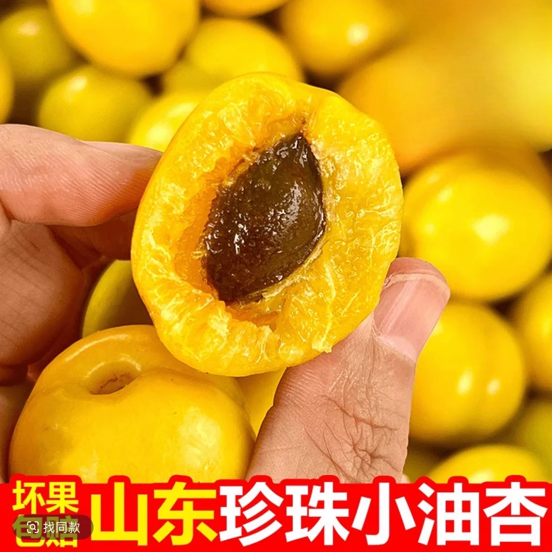 山东小白杏纯甜 珍珠油杏 放软吃纯甜爆汁 硬吃酸甜 杏香味足