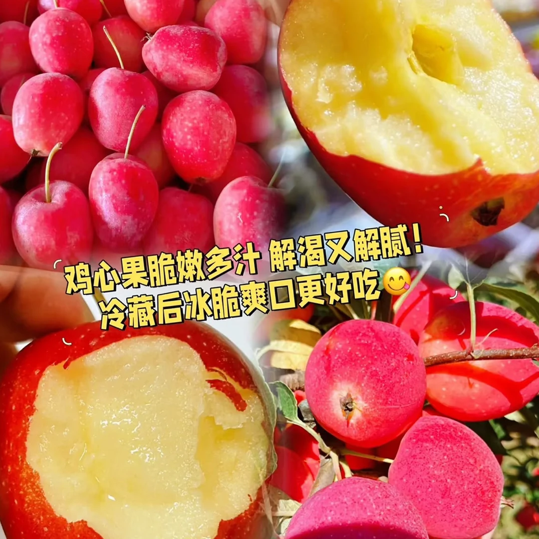 【香妃海棠果】鸡心小苹果1斤，口感哇塞，惊爆价秒杀山东省