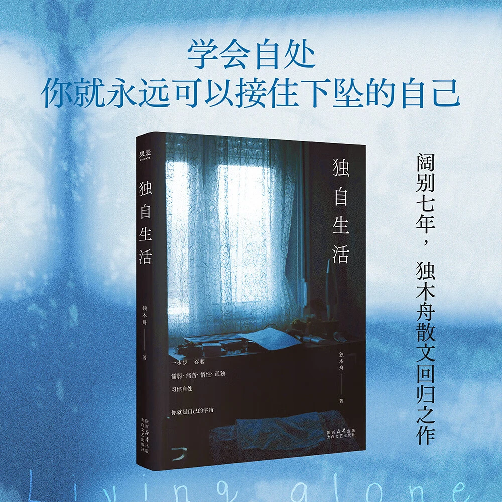 独自生活书籍 独木舟 独居女性生活状态随笔集