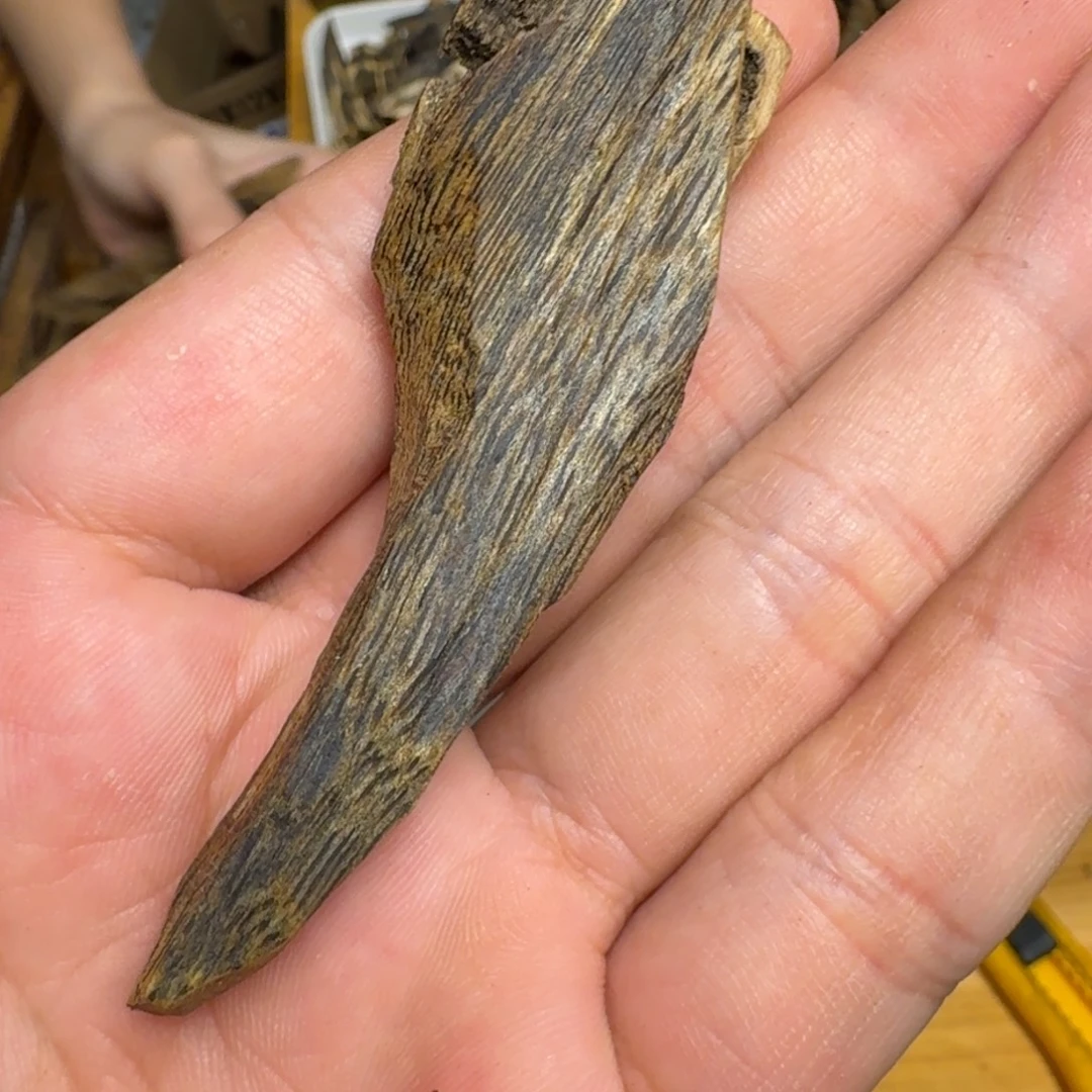 沉香碎屑沉香白棋5克