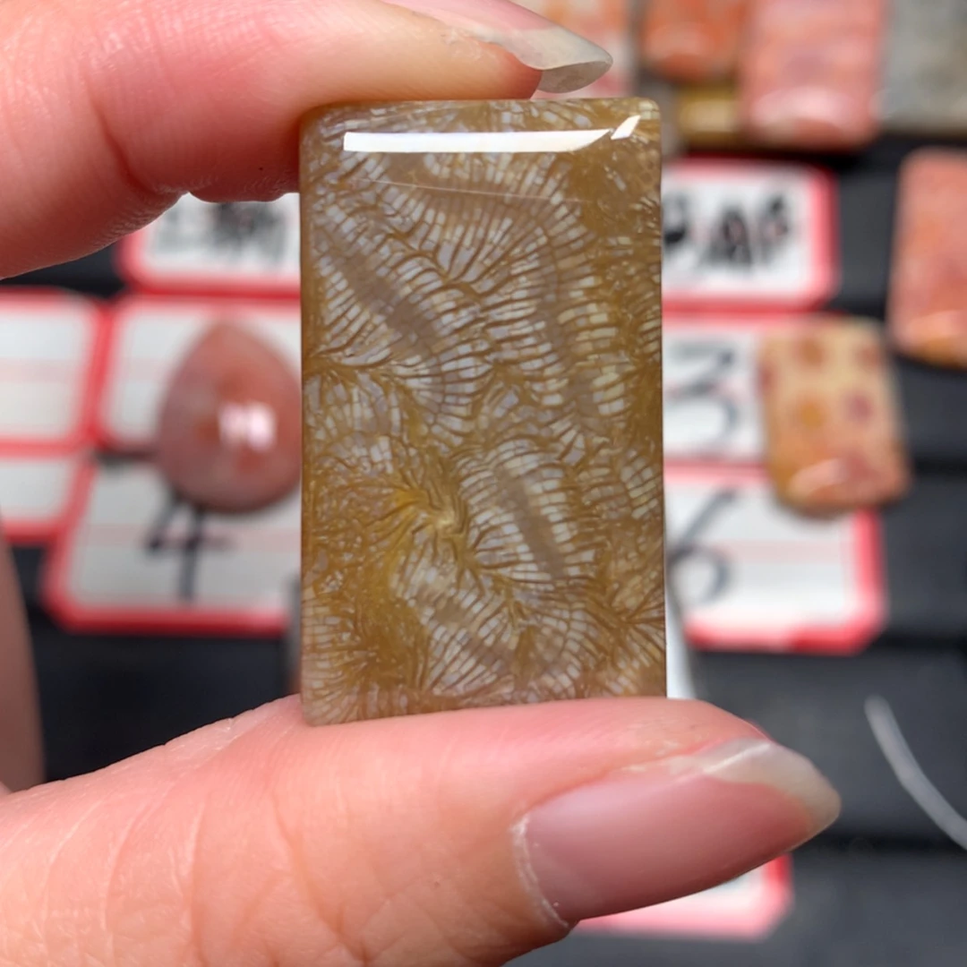 【闪购商品】未镶嵌颈饰硅化玉T***y