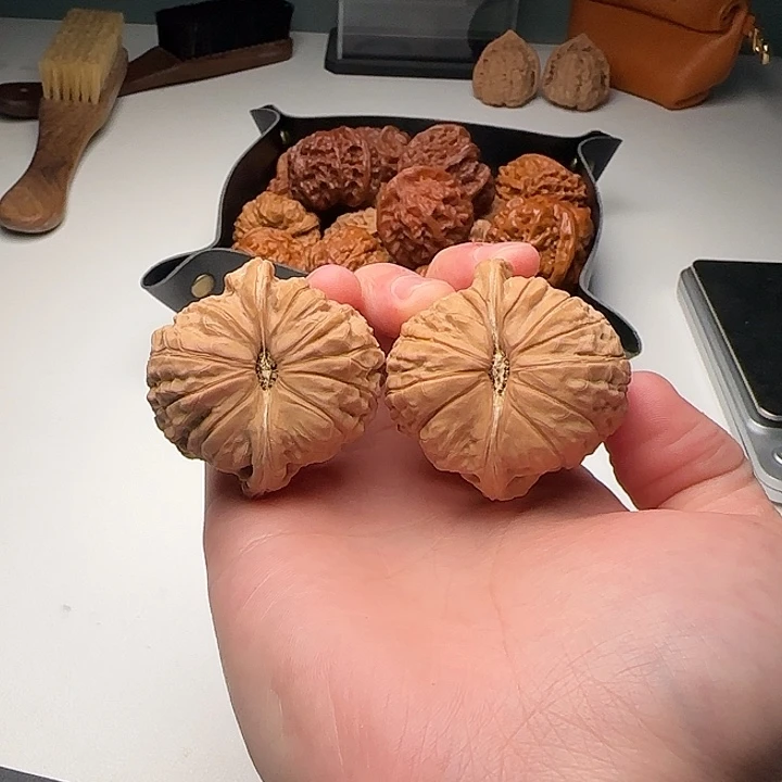 44-43-34南瓜墩C31号