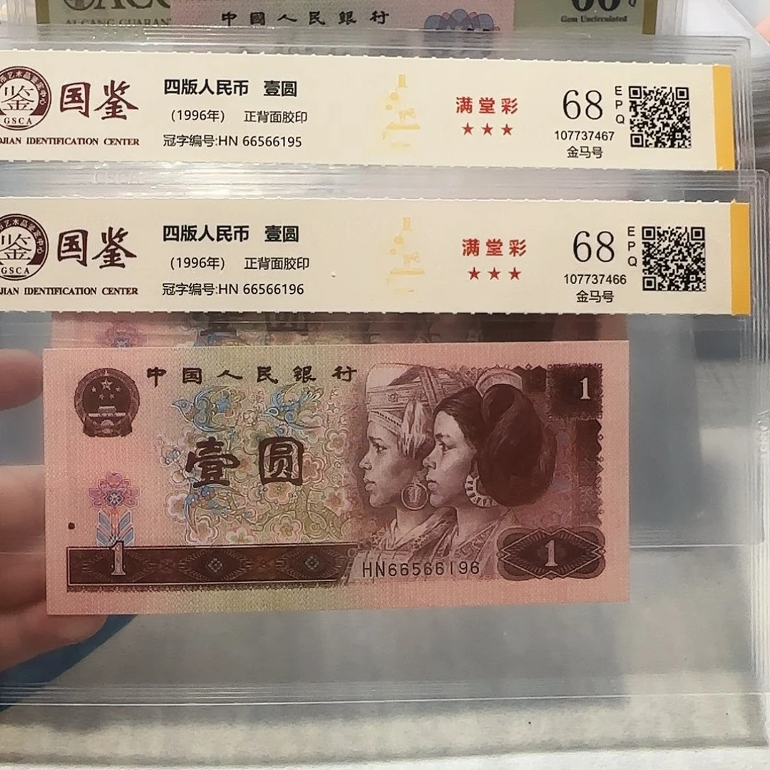 66566195、196。。。。。