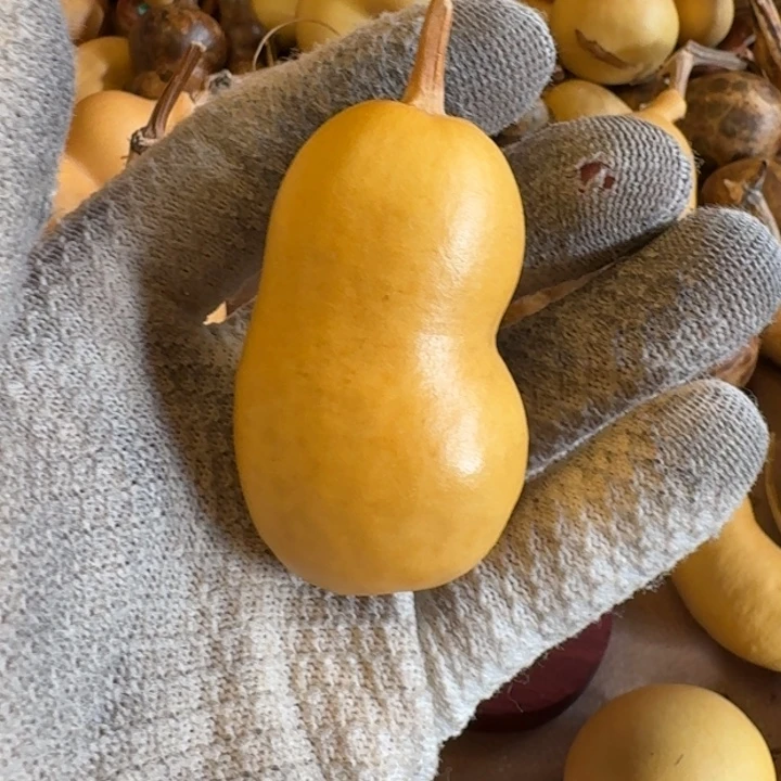 懒***洋葫芦888888888888888