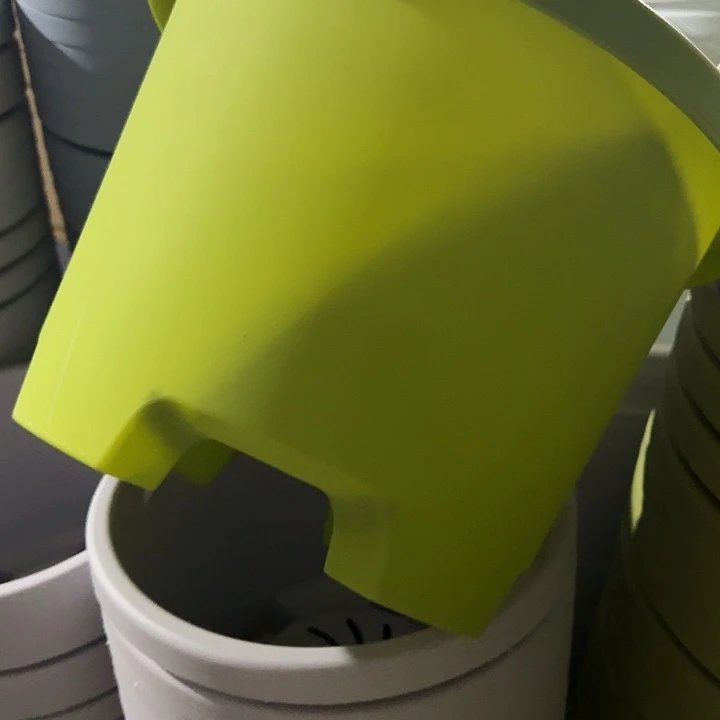 球根盆4号果绿无托5个