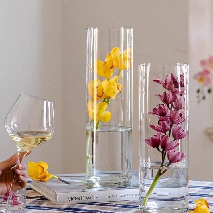 加厚直筒玻璃花瓶大花蕙兰雪柳马醉木插花ins风透明水培高级花瓶