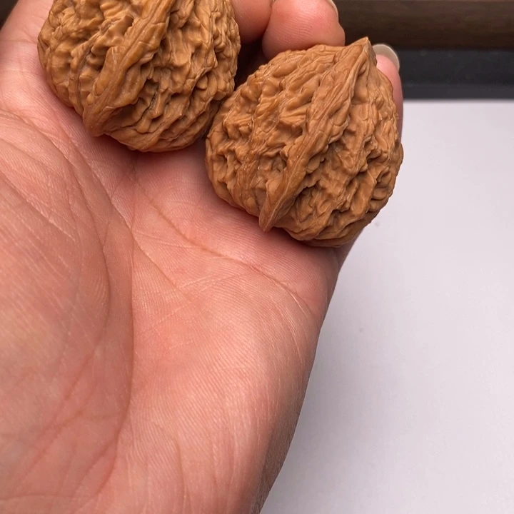 麦虎狮子头41尺寸