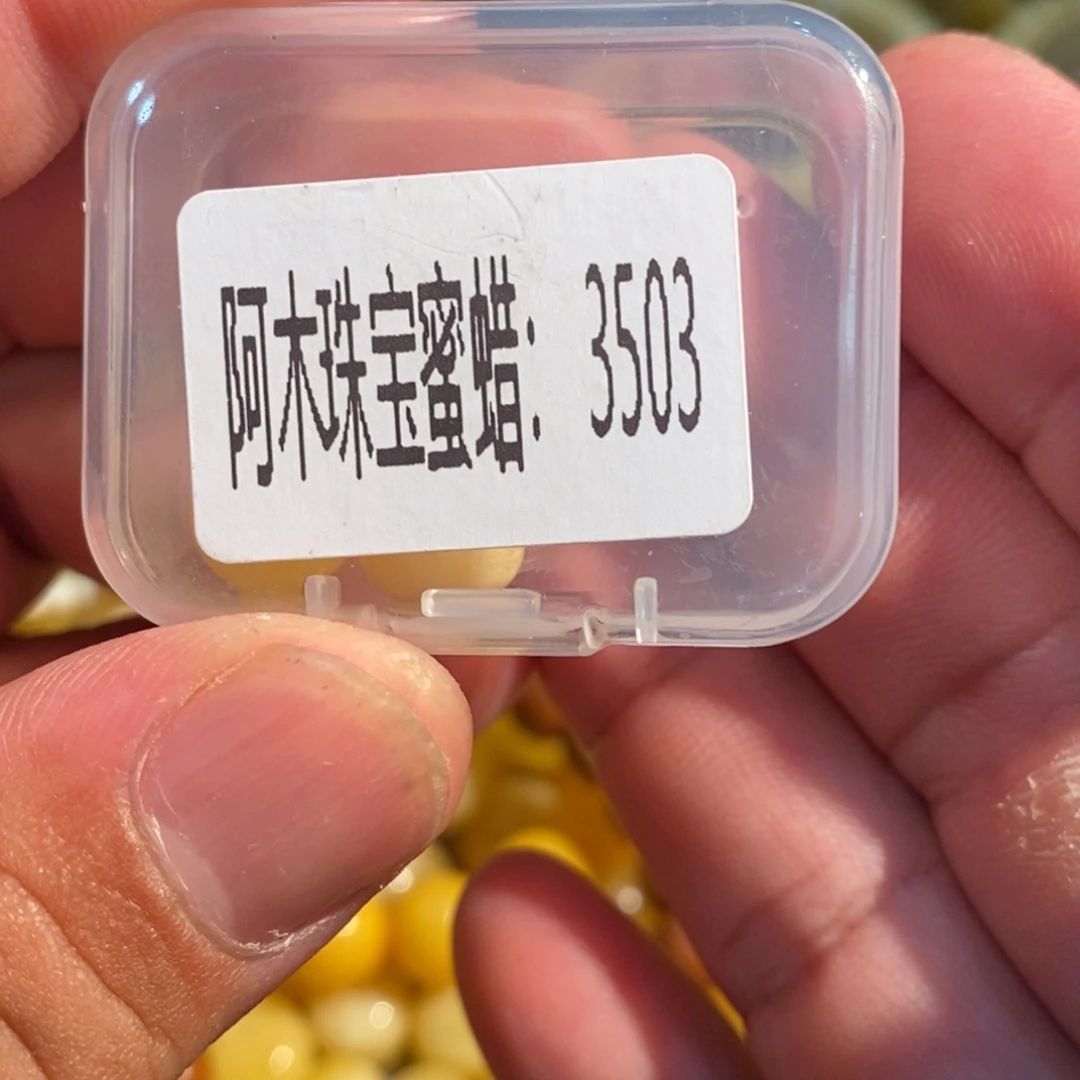 琥珀未镶嵌珠宝奇石3503