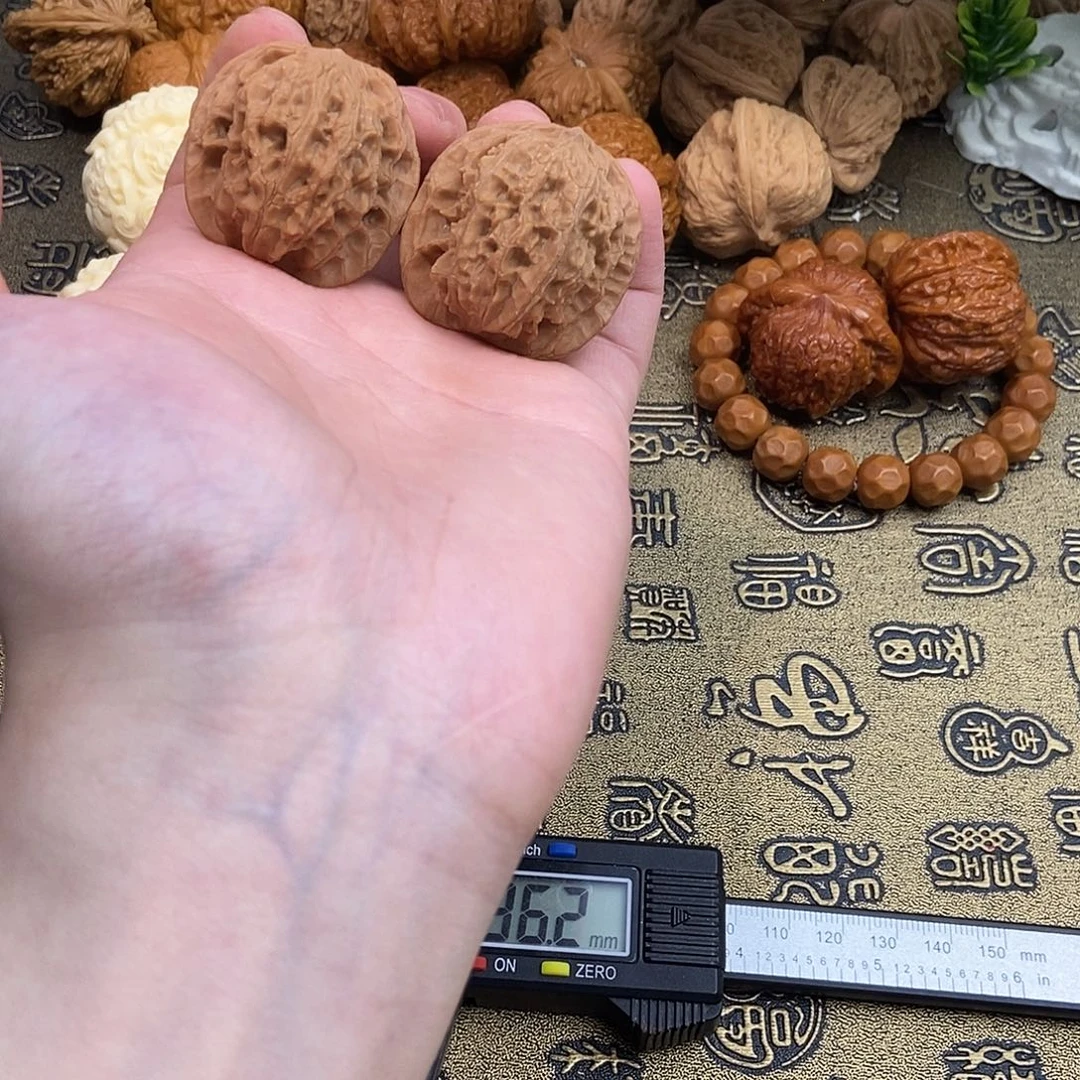 核桃盘龙纹36尺寸编号825骨质硬白茬