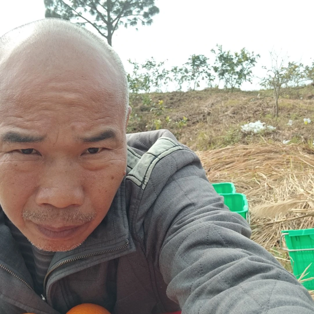 爱媛28好好吃的橘子果冻橙