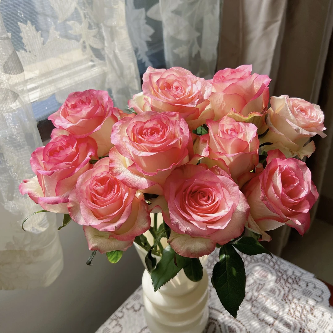 两单包邮！艾莎玫瑰10支（20%不售后）