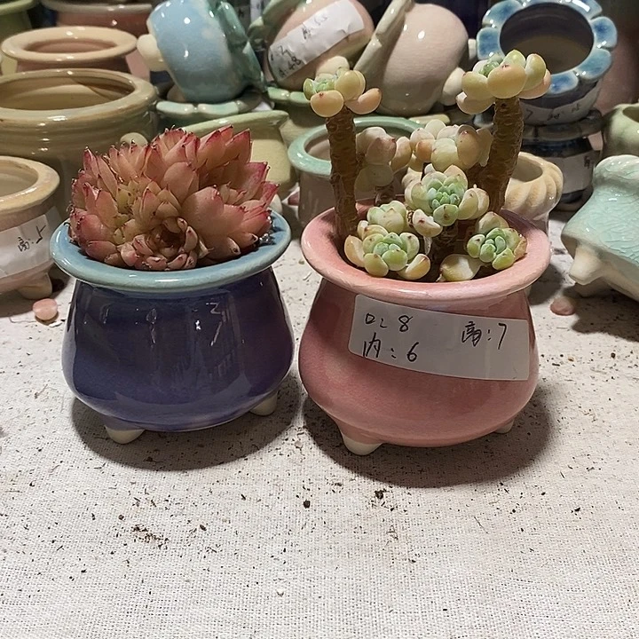 红陶【满10米包邮默认微瑕疵】2个浮力