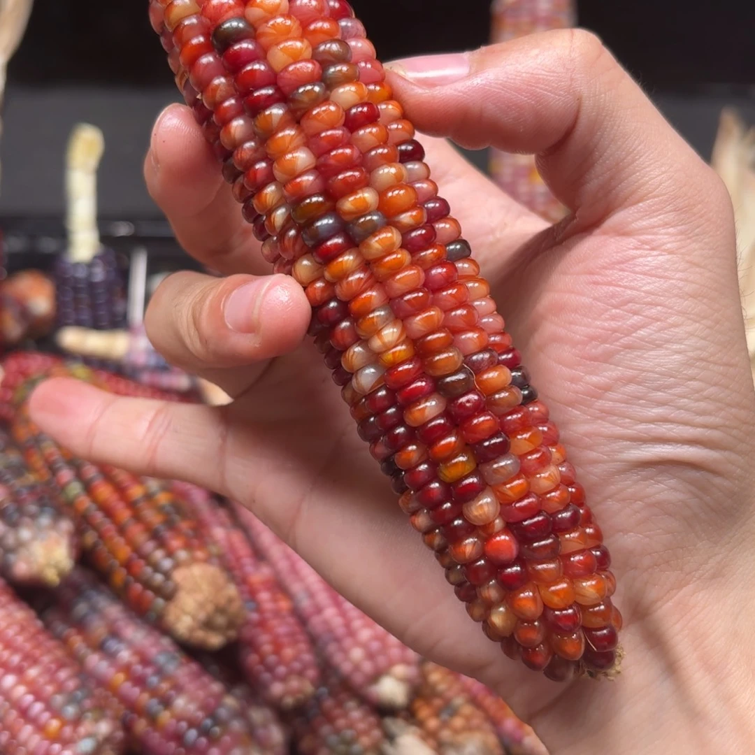 娄***楼柏香籽/百香籽吊坠