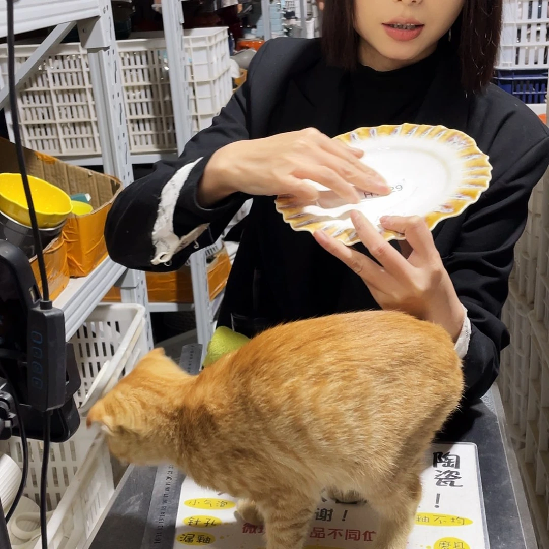 瓷片529。          2个