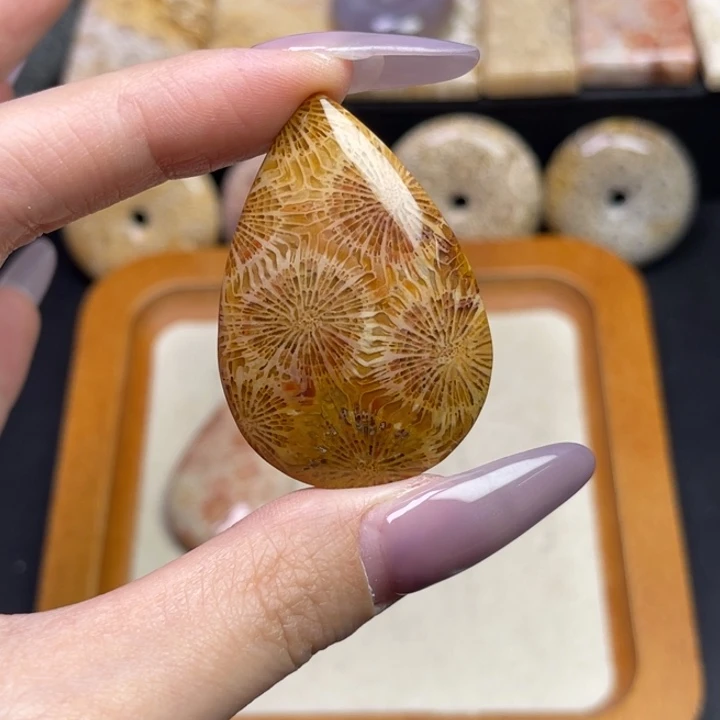 未镶嵌吊坠硅化珊瑚（珊瑚玉）陈*