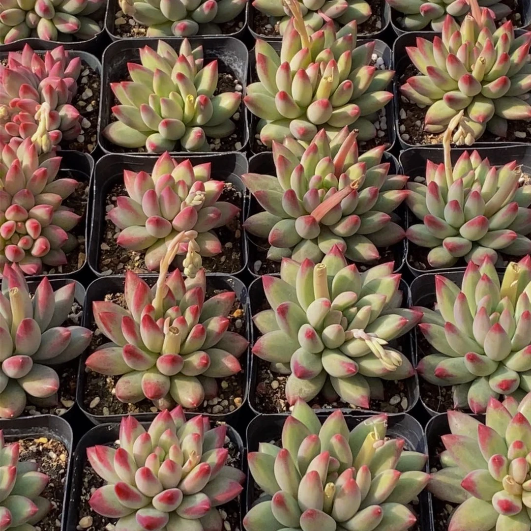 ?****e002的人生态度是一