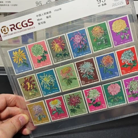 特44菊花原胶全品中钱评级