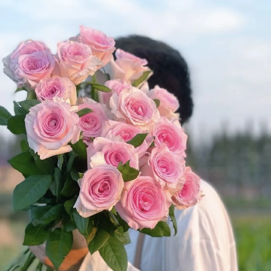 【洛神 玫瑰10枝】 点关注 发顺丰鲜切花基地直发