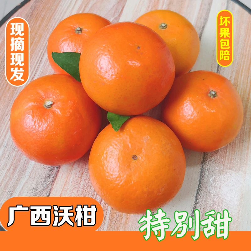 新鲜广西沃柑现摘现发精选礼盒装带叶发货