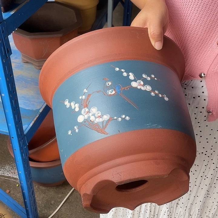 30蓝色点菜金钟花盆紫砂花盆