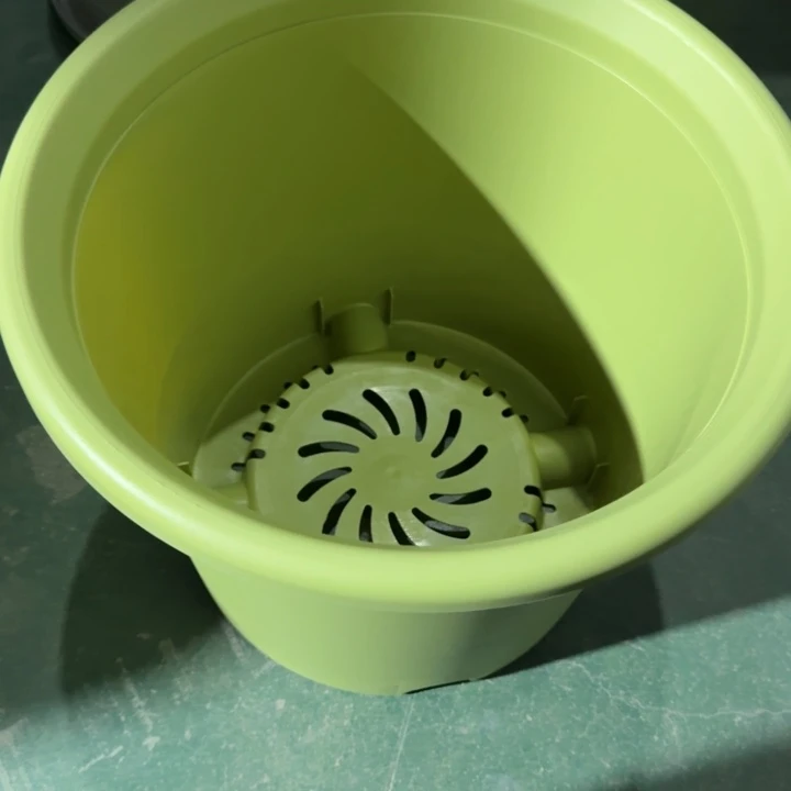 四季6号果绿无托7个特价微瑕