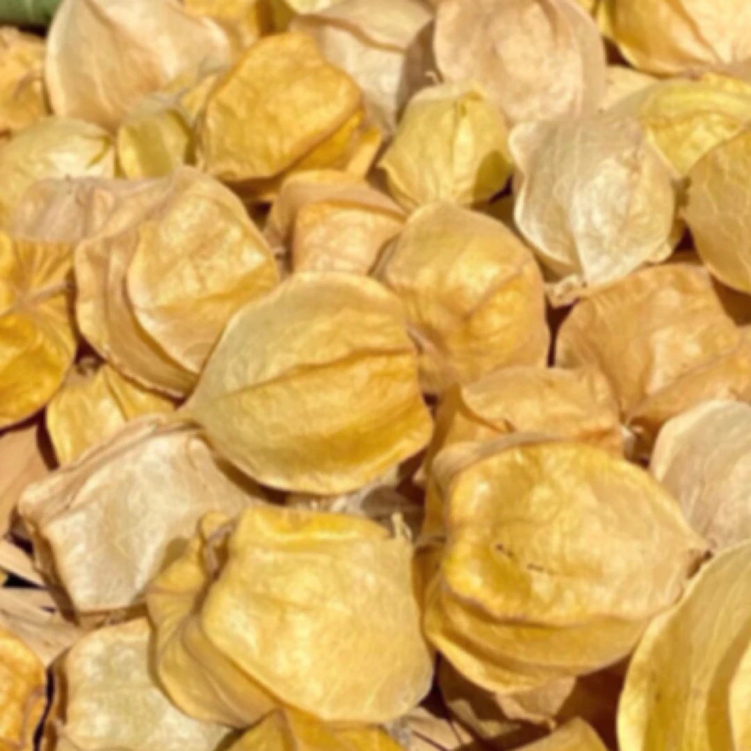 【长岭徐氏果业】云南菇娘 鲜嫩脆爽  光滑圆润，吃一口就上瘾的甜蜜