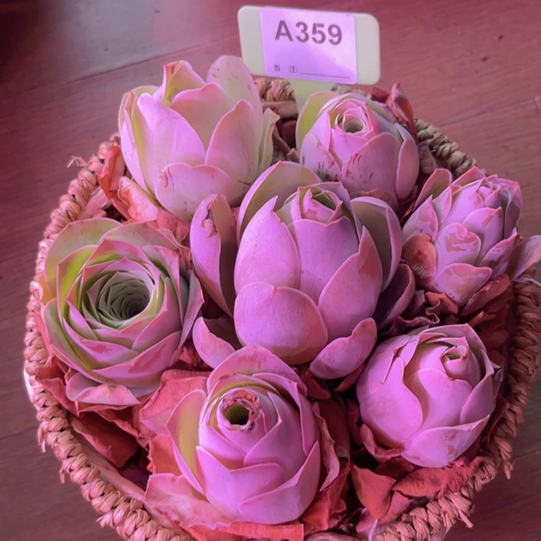 福利花篮一物一拍A359 7颗带篮