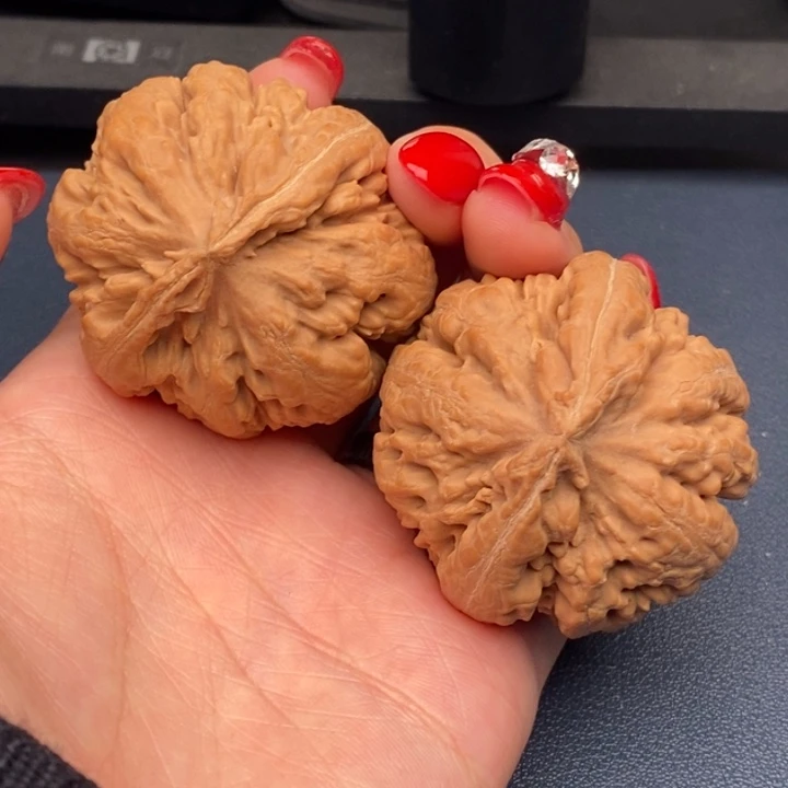 我***样霸王龙全品无刀休