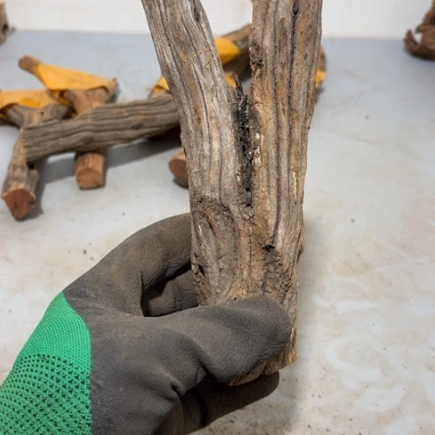 大果紫檀（缅甸花梨）小**夫