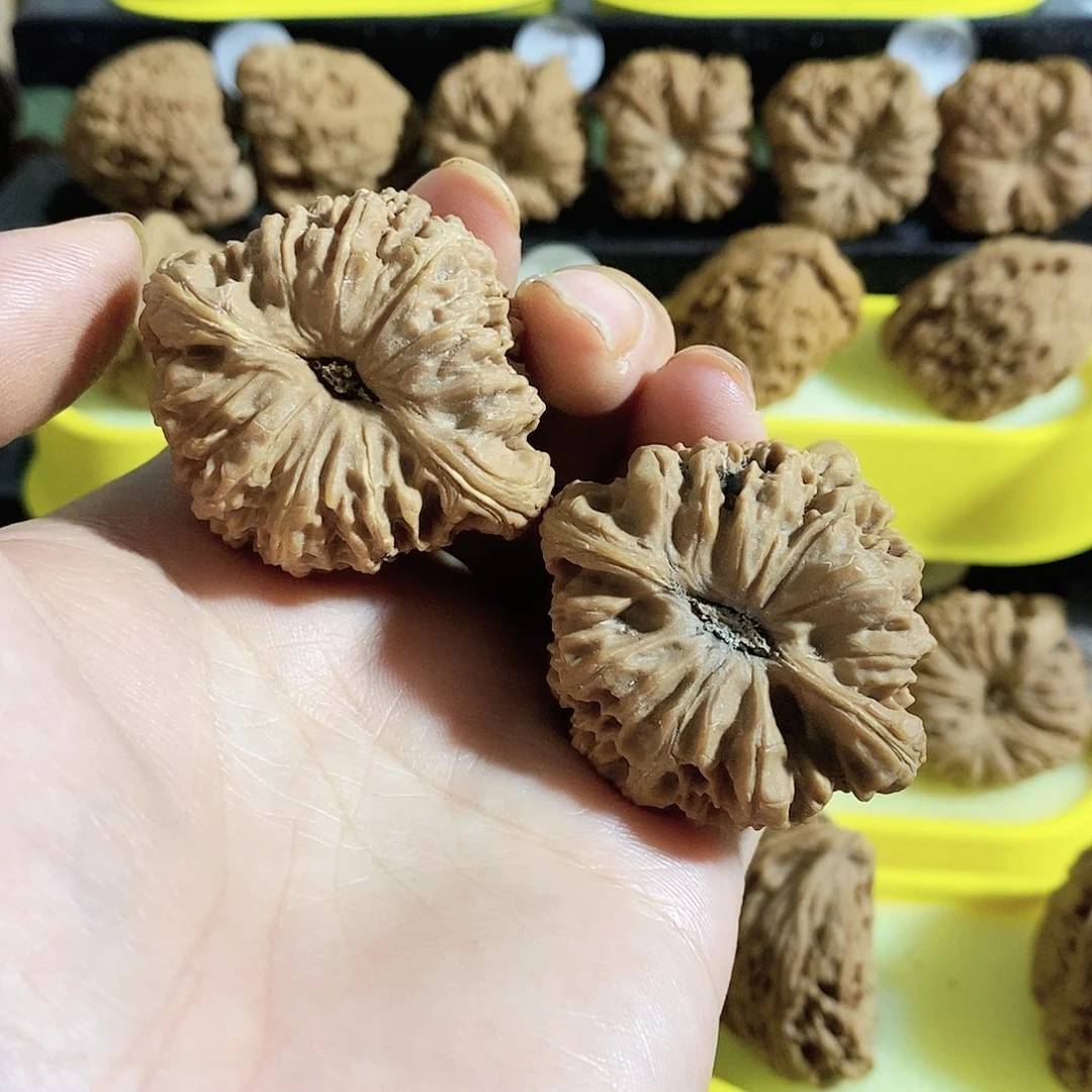 木质类今天是不是要