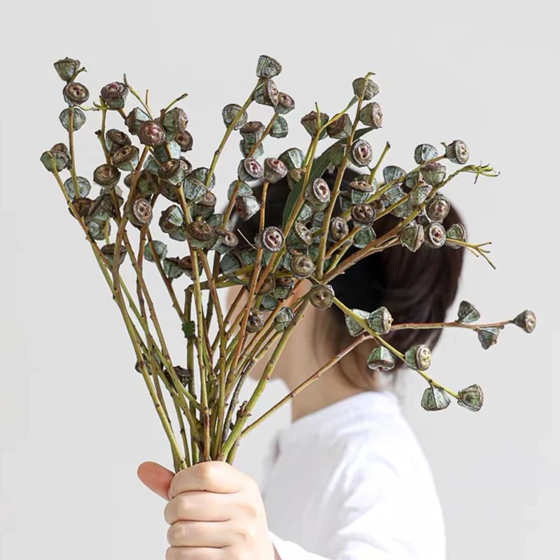 [尤加利老果]~可水养可做干花