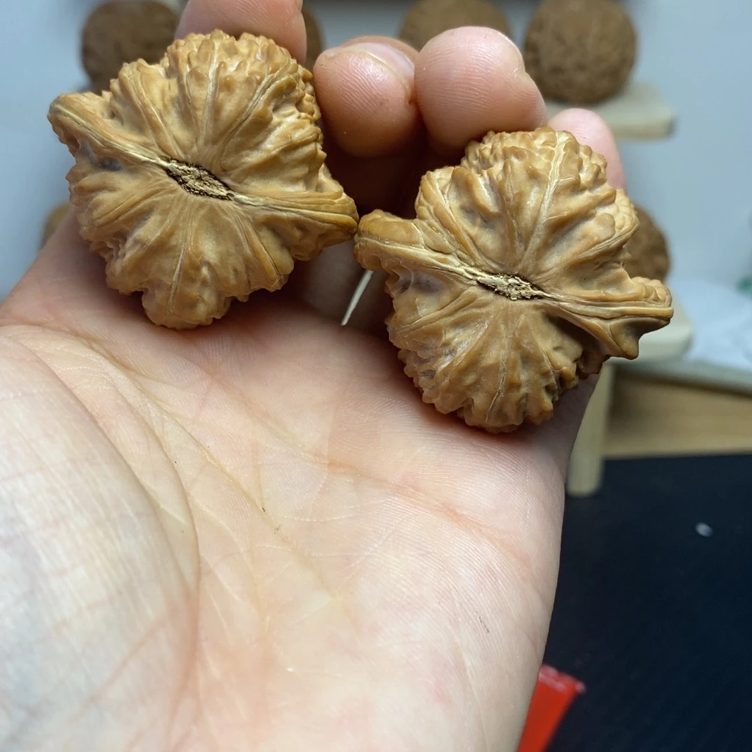 大***啊大叶紫檀（黑酸枝木类）42白狮子